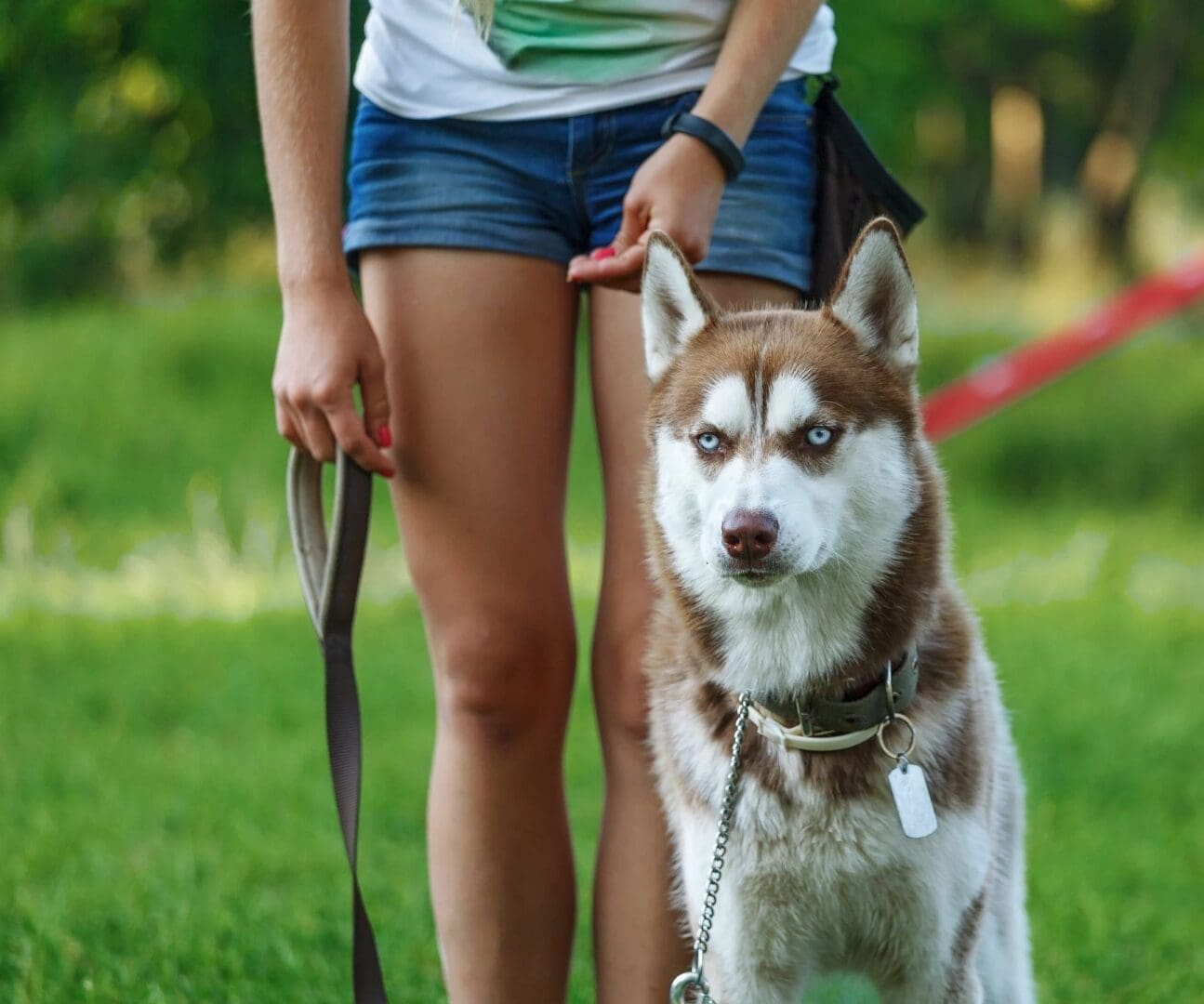 A woman is holding the leash of her husky dog.