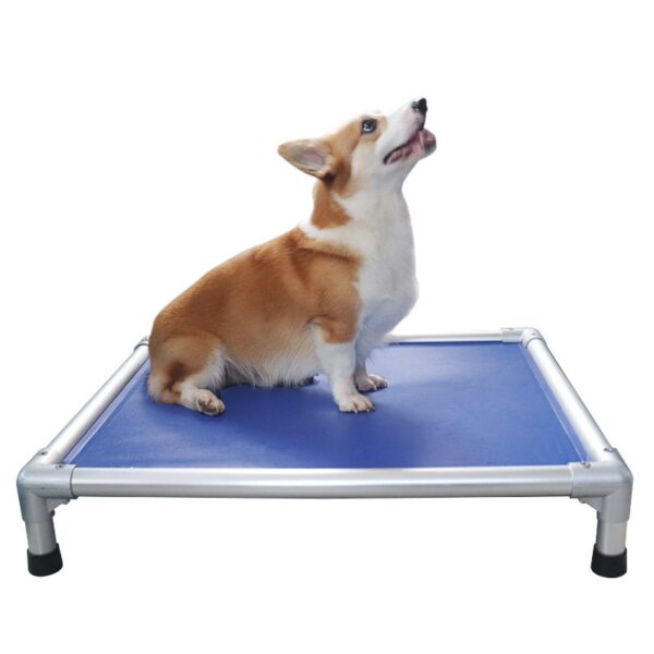 A dog sitting on top of his bed.