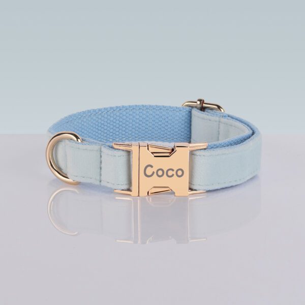 Light blue dog collar with "Coco" engraved.