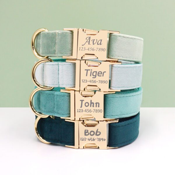 Four personalized dog collars with names.