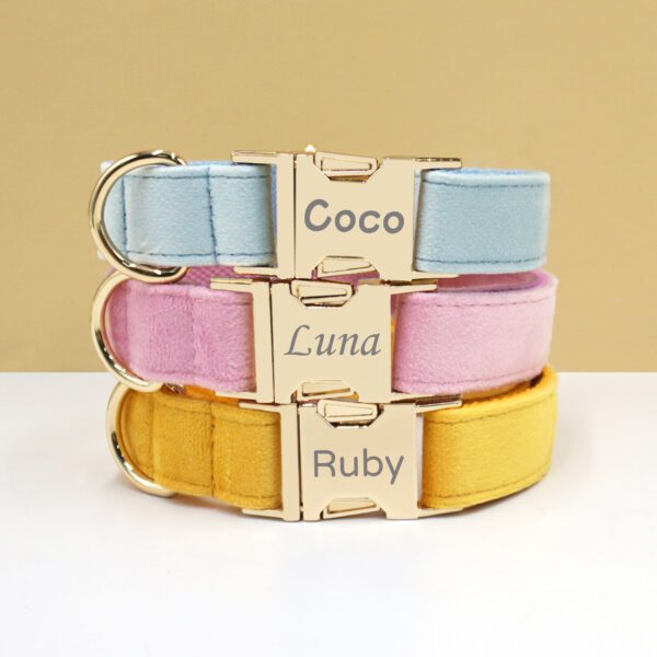 Three personalized dog collars, Coco, Luna, Ruby.