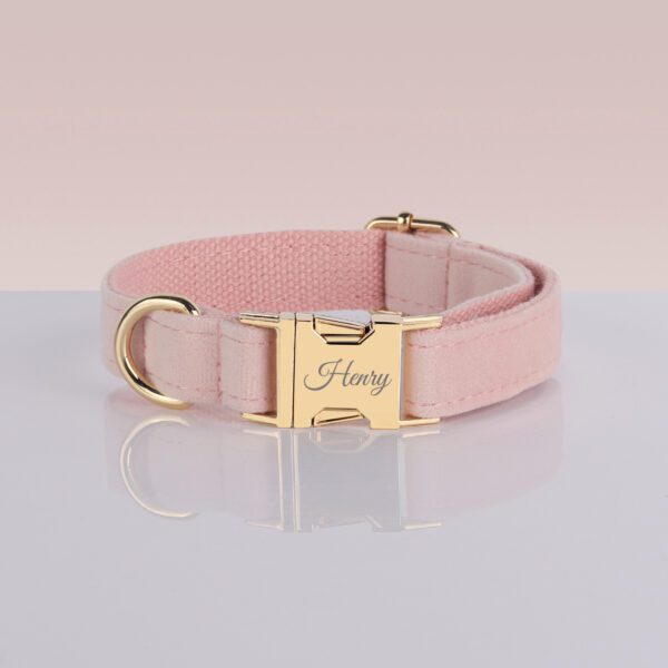 Pink dog collar with gold buckle, says "Henry"