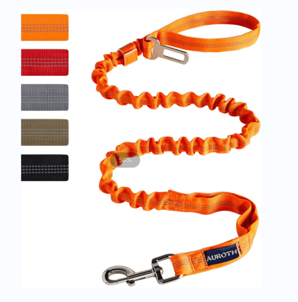 Orange retractable dog leash with clip.