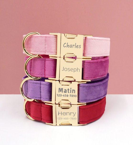 Personalized velvet dog collars in four colors.