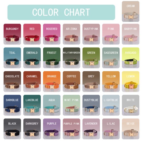 Dog collar color chart with 20 options.